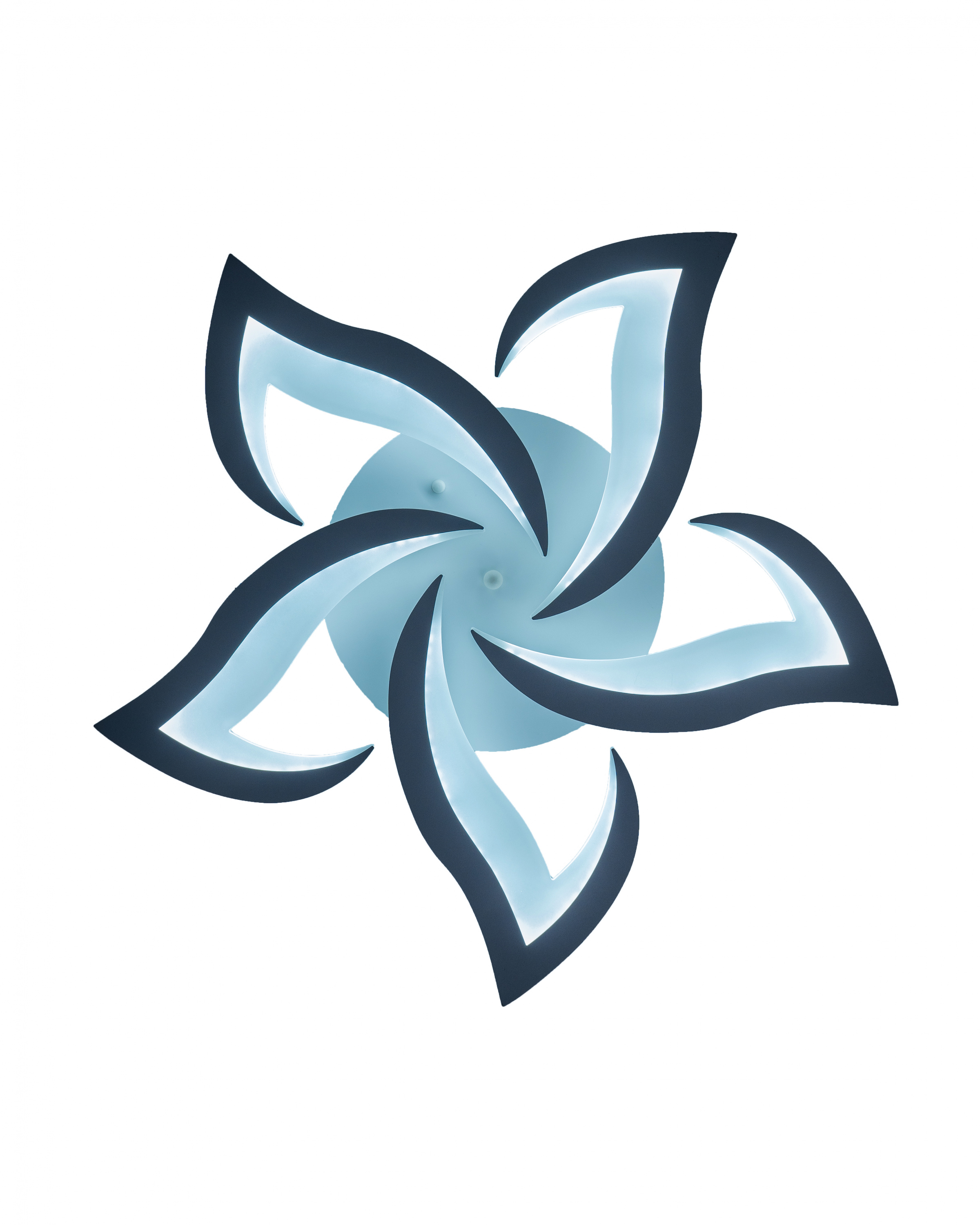 6629/5 WT